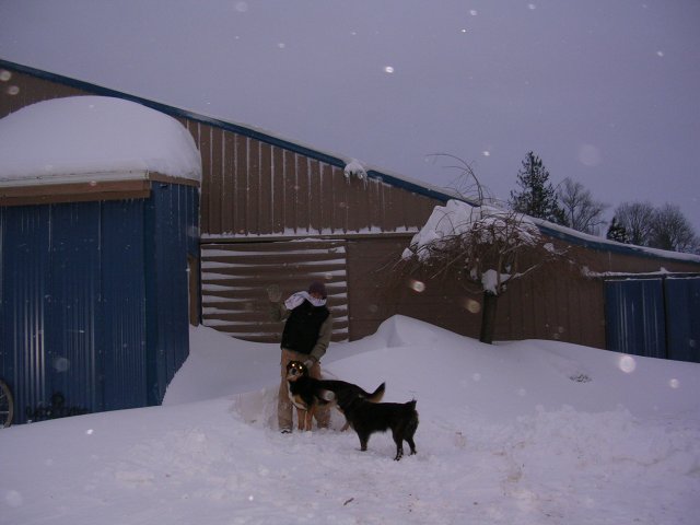 Dec 21 snow storm damage 003